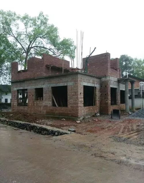 回归乡村，共建温馨小别墅 施工日记与家的故事