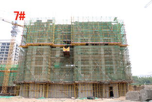 隆基泰和紫金府精品住宅最新施工进度一览